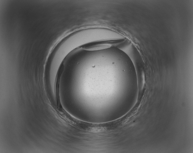 X0000084030248200702232306