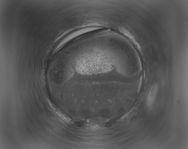 X0000084030249200702232306