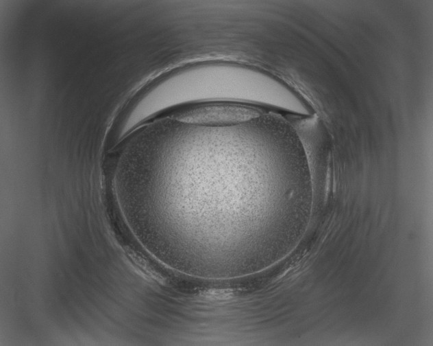 X0000084030252200702232306