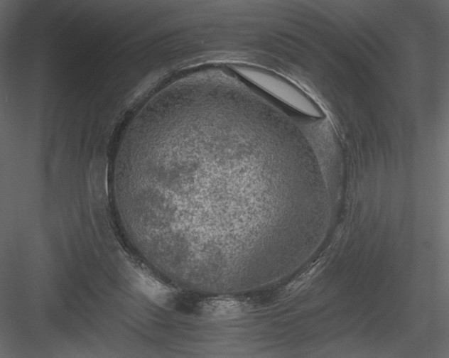 X0000084030253200702232306