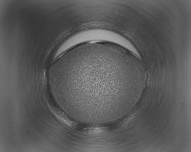 X0000084030254200702232306