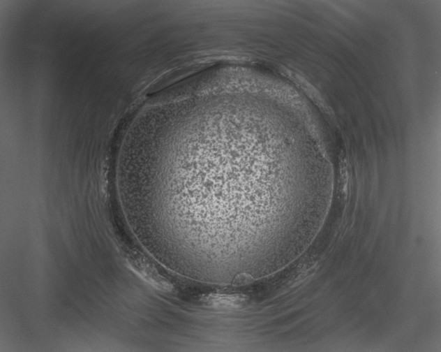 X0000084030255200702232306