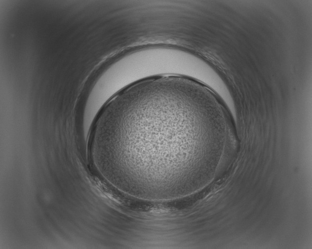 X0000084030256200702232306