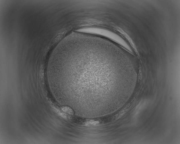 X0000084030257200702232306