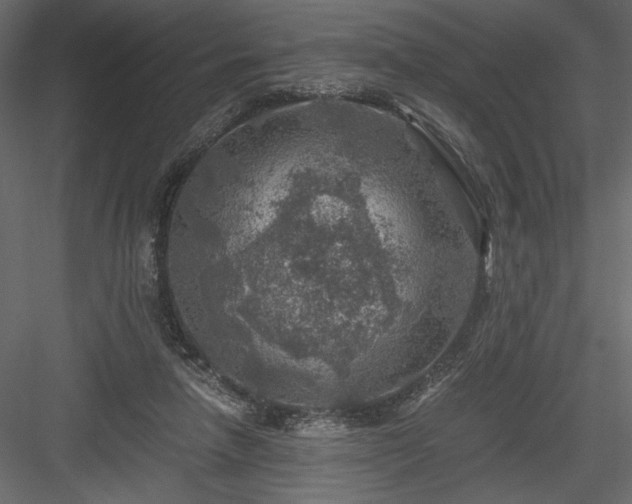 X0000084030258200702232306