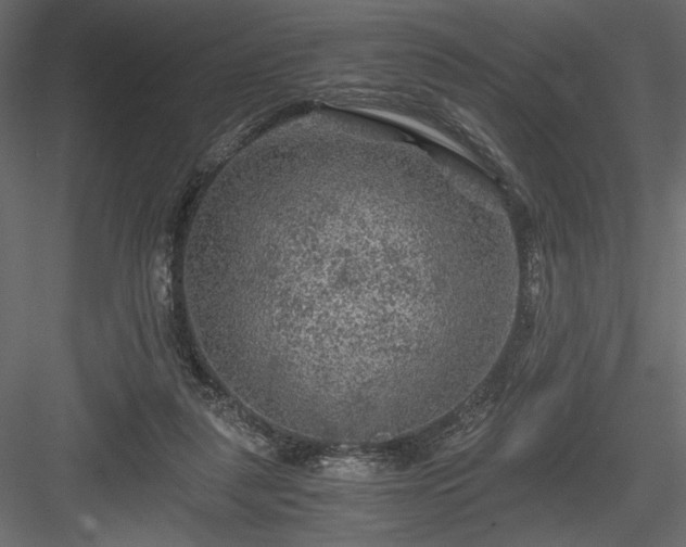 X0000084030259200702232306