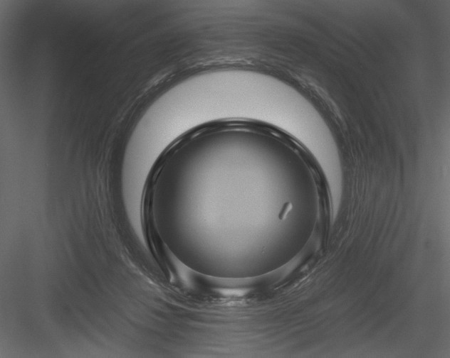 X0000084030260200702232306