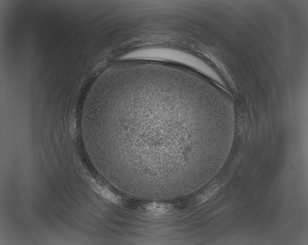 X0000084030261200702232306