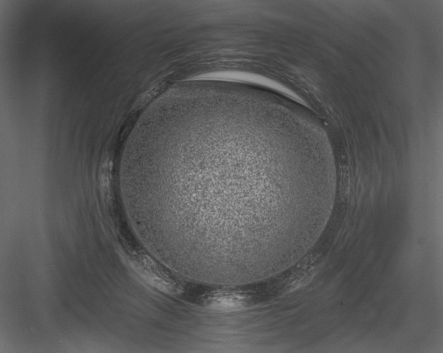 X0000084030263200702232306