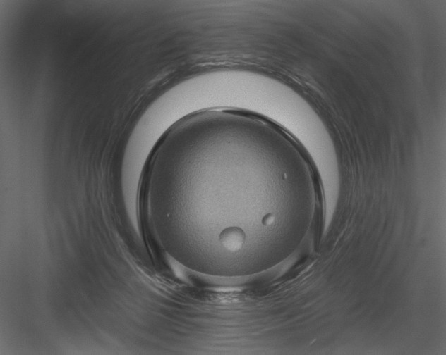 X0000084030264200702232306