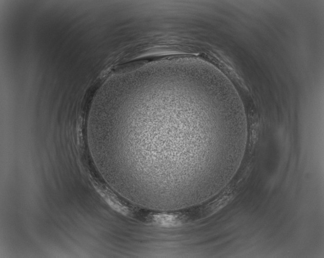 X0000084030265200702232306