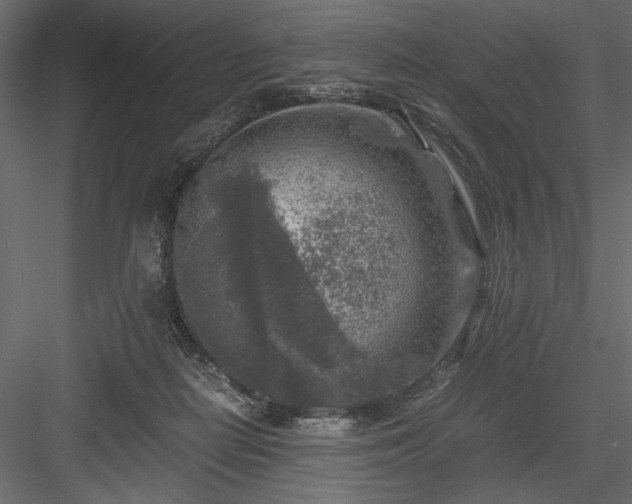 X0000084030266200702232306