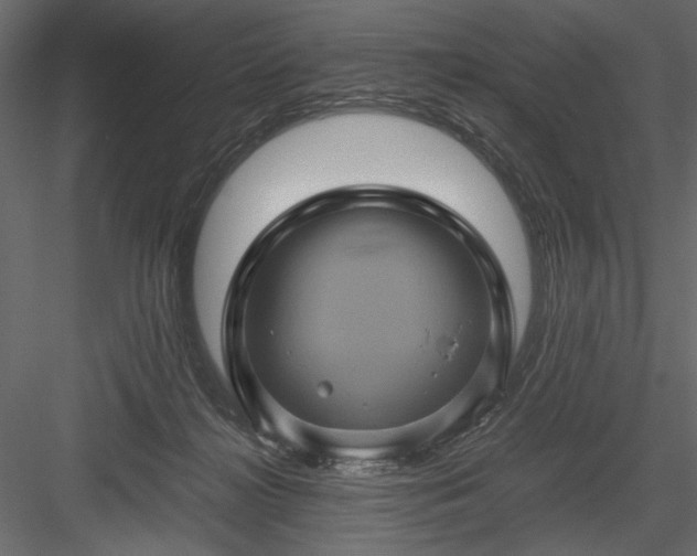 X0000084030268200702232306