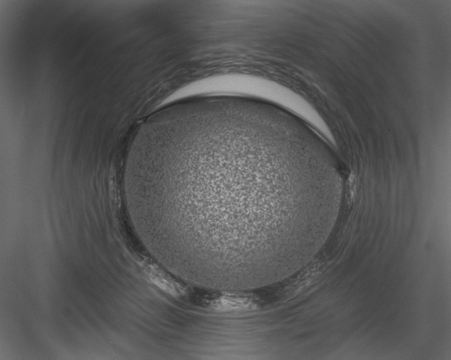 X0000084030270200702232306