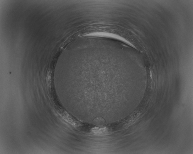 X0000084030271200702232306