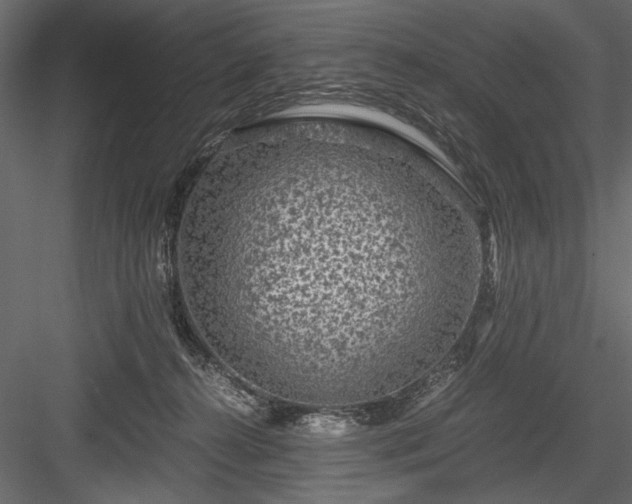 X0000084030272200702232306