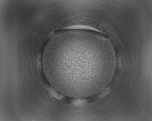 X0000084030274200702232306