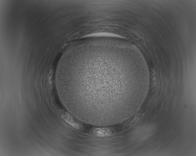 X0000084030275200702232306