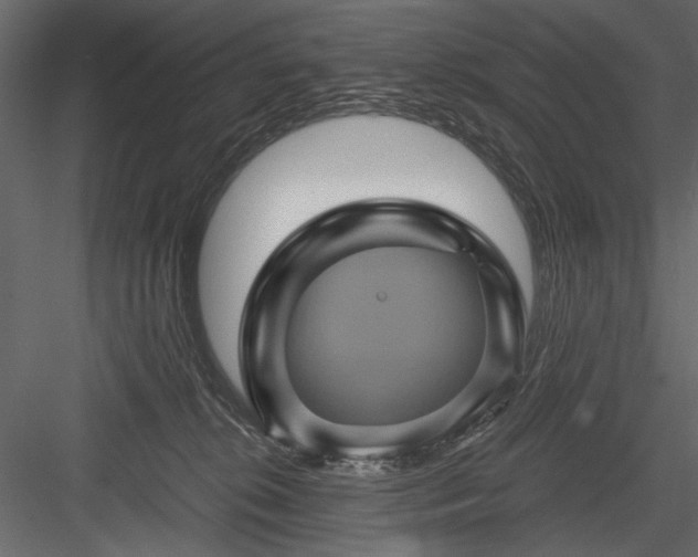 X0000084030276200702232306