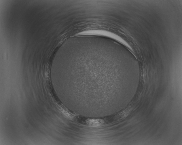 X0000084030277200702232306