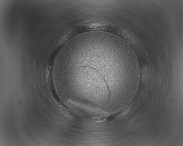 X0000084030278200702232306