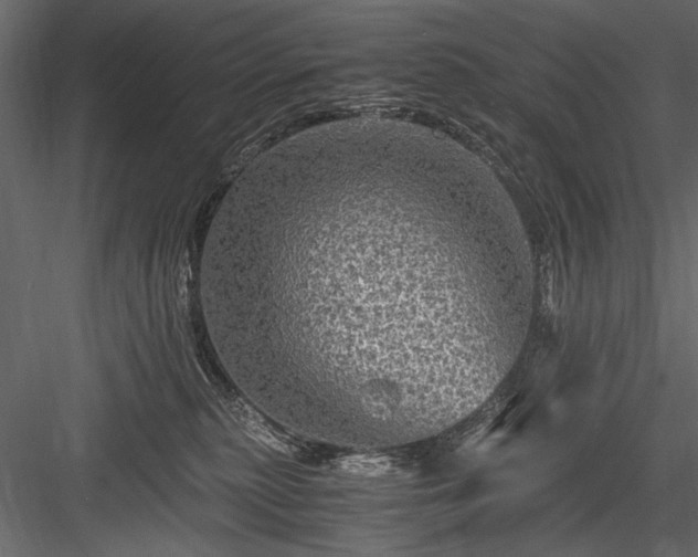 X0000084030279200702232306