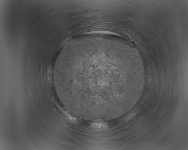 X0000084030281200702232306