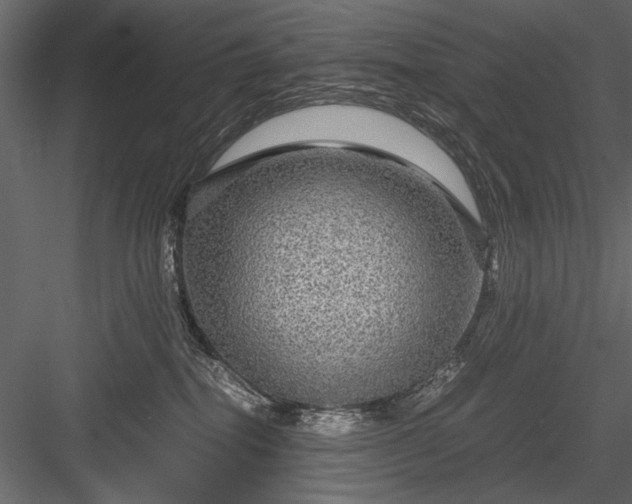 X0000084030282200702232306