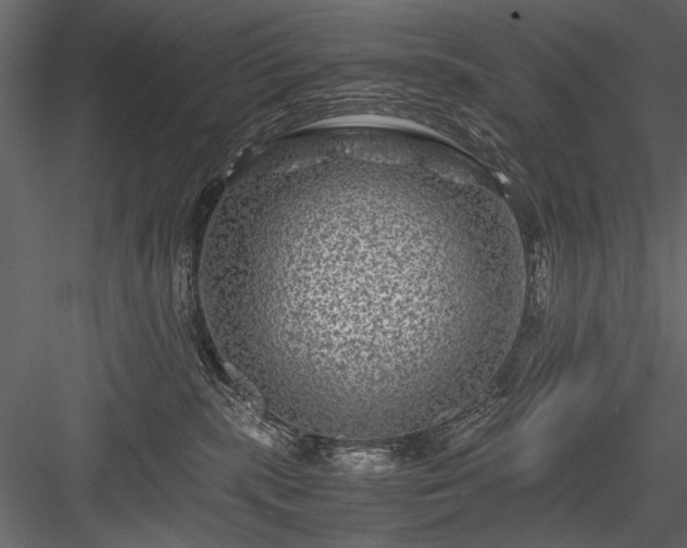 X0000084030283200702232306