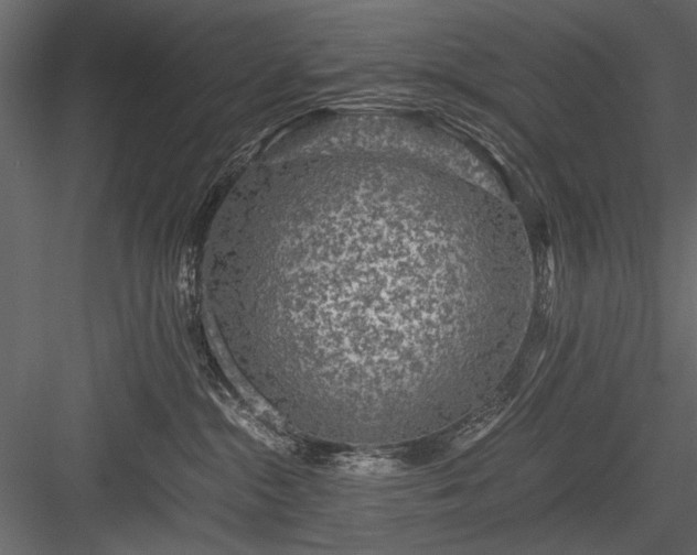 X0000084030284200702232306