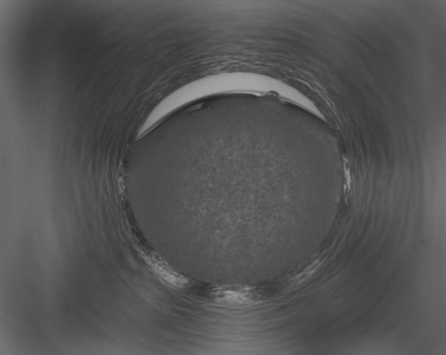 X0000084030285200702232306