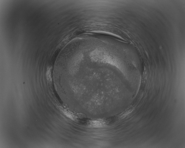 X0000084030286200702232306