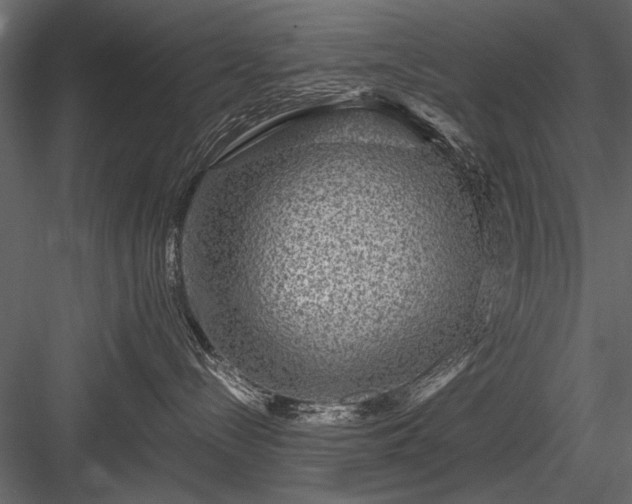 X0000084030288200702232306