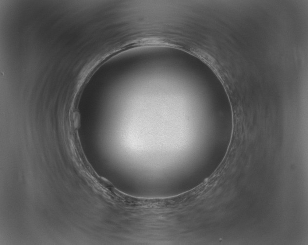 X0000084030289200702232305