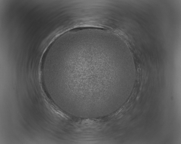 X0000084030290200702232305