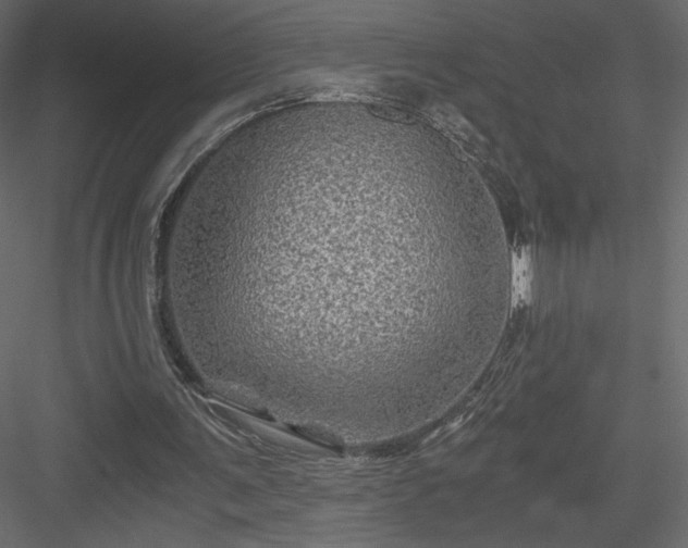 X0000084030291200702232305