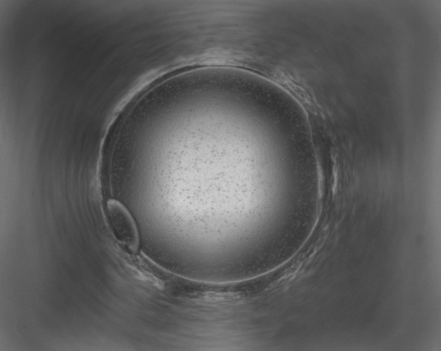 X0000084030292200702232305