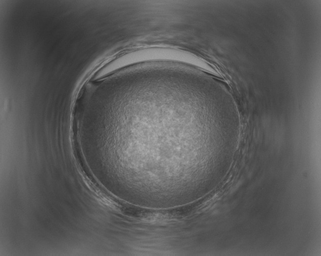 X0000084030293200702232305