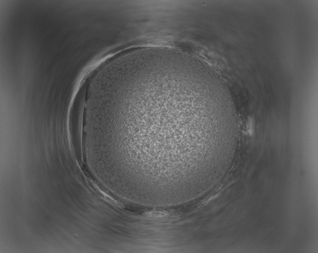 X0000084030294200702232305