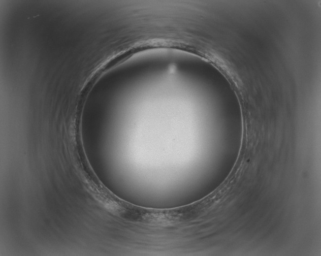 X0000084030297200702232305