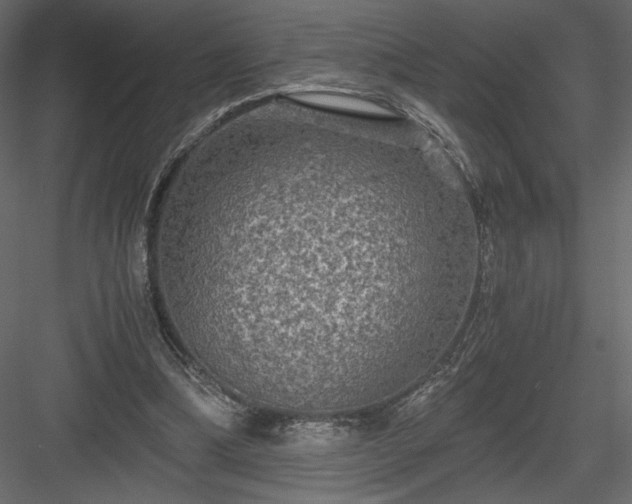 X0000084030298200702232305