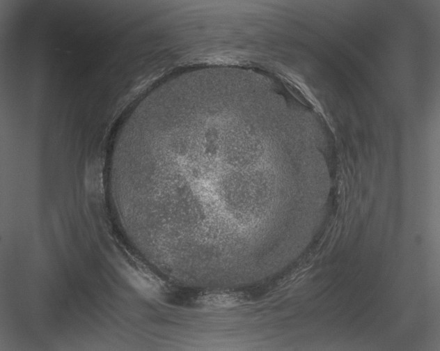 X0000084030299200702232305