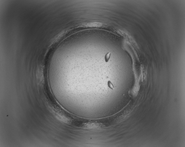 X0000084030300200702232305