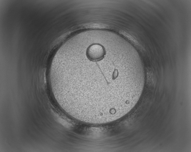 X0000084030302200702232305