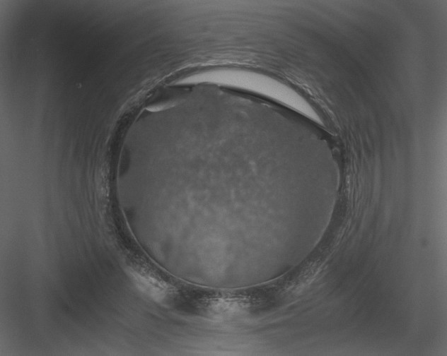 X0000084030303200702232305