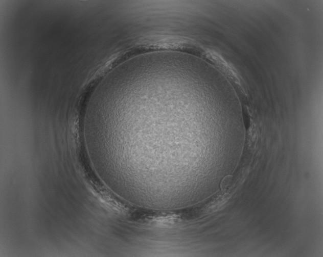 X0000084030306200702232305