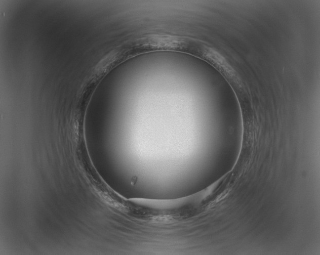 X0000084030309200702232305