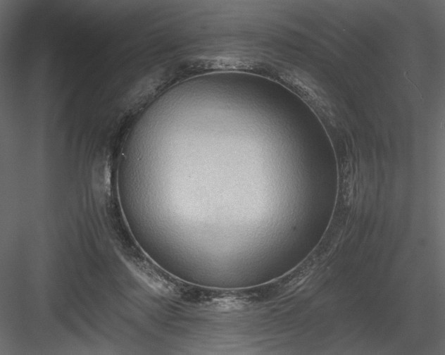 X0000084030310200702232305