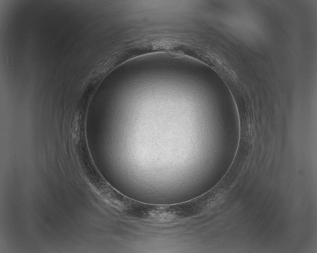 X0000084030311200702232305