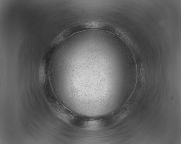 X0000084030312200702232305